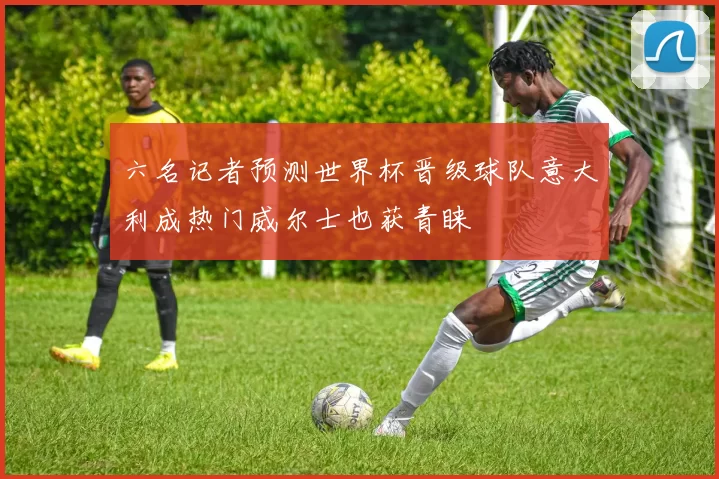 六名记者预测世界杯晋级球队意大利成热门威尔士也获青睐