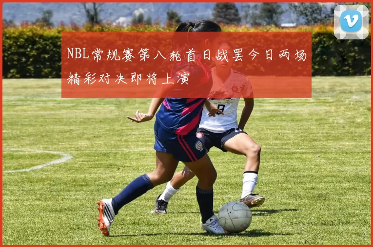 NBL常规赛第八轮首日战罢今日两场精彩对决即将上演